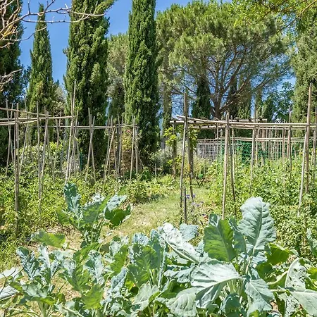 Poggiolo Dei Serviti 10, Emma Villas *